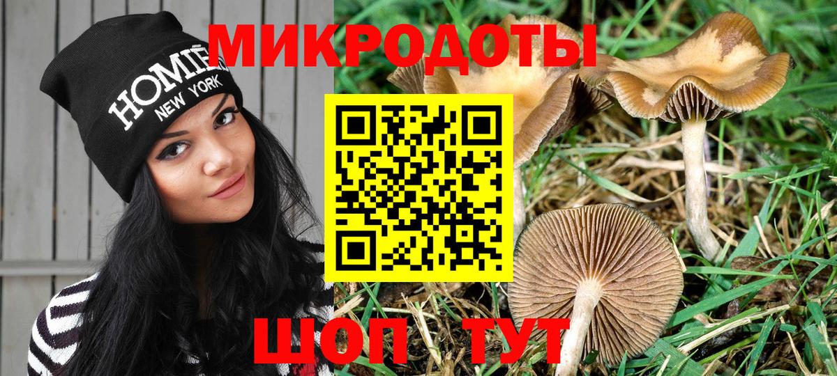 Карталы  Галлюциногенные грибы Cubensis  Вход с VPN 